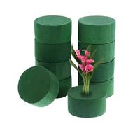 10-Pack Floral Foam Rounds, Styrofoam Blocks for Fresh & Artificial Flowers, Wedding & Home Decor Floral Arrangement Supplies, Easy-Cut Oasis Floral Foam for Florists and DIY Bouquets (10)