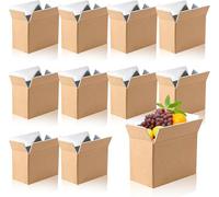 10 Pack Insulated Shipping Boxes, Double Insulated Carton with Foil Foam Cooler Box Delivery Moving Kits Foam Shipping Containers for Mailing Packing,Reusable Cold Shipping Box 8.3" x 3.9" x 5.1"