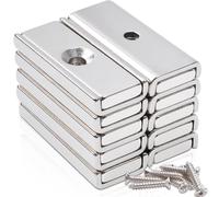 10 Pack Neodymium Magnets Strong, 30x13.5x5 mm Small Rectangular Rare Earth Magnets with Hole and Screws, Countersunk Industrial Pot Magnet Strips