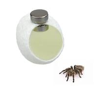 10 Pack Silk Cocoons with Magnets for Jumping Spiders Spoods Hides Silk Cocoon Spider Hide Jumping Spider Enclosure Jumping Spider Habitat Accessories