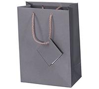 10 Pack Small Gray Matte Finish Solid Shopping Paper Gift Sales Tote Bags with Blank Message Tag 4" x 4.5" x 2.75" by R J Displays