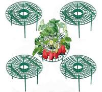 10 Pack Strawberry Plant Support,Strawberry Planting Stand, Keeping Strawberry Plants Clean, Strawberry Growing Racks, Strawberry Growing Frame (5PCS)