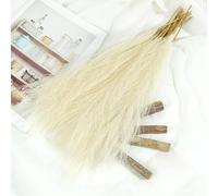 10 Pcs Artificial Pampas Grass Plant,Faux Dried Pampas Grass Stems Fake Flower Fluffy Reed Bouquet Reed Grass Decor,Dried Flower Arrangements for Wedding Holiday Party Boho Home Decor (Beige)