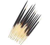 10 Pcs Black Porcupine Quills Hair Stick Fishing Buoy DIY Sewing Project Kits Indian Crafts Accessories Sewing Notions Supplies Thimbles