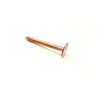 10 PCS Copper Clout Nails Roofing Slate Felt Nail, Tree Stump Killers, 30mm, 38mm, 50mm (30mm x 2.65mm)