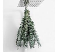 10 Pcs Dried Eucalyptus Stems 17" Real Eucalyptus 100% Made From Fresh Eucalyptus Leaves Artificial Eucalyptus for Shower Hanging, Wedding Decor Home Decor Farmhouse Decor Diy Artificial Plants,Green