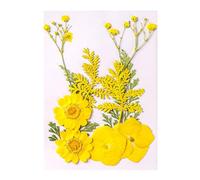 10 Pcs Dried Pressed Flowers for Resin, Real Pressed Flowers Dry Leaves Bulk Natural Herbs Kit for Scrapbooking DIY Art Crafts, Epoxy Resin Jewelry Molds, Candle, Soap Making, Nails Décor Yellow