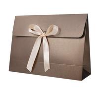 10 Pcs Envelope Gift Box, Silk Scarf Packaging Box With Elegant Bow Ribbon Party Gift Box Solid Color Cardboard Packaging Bag Large Present Bag Paper Party Bags for Birthday Wedding Baby Shower Xmas