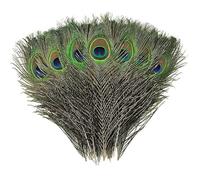10 Pcs Ethically Sourced Genuine Peacock Feathers 10-12 Inches Odor-Free for Crafts, Décor Festive Attire, Halloween Costumes & Weddings Vibrant Eye Design Embodying Nature's Enchanting Magic