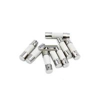 10 Pcs Fast blow Ceramic Fuse 5mm x 20mm 6x30mm T 0.5A 1A 2A 3A 5A 6A 8A 10A 13A 15A 20A 30A 250V(0.5A,6MMx 30MM)