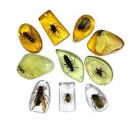 10 pcs Insect Amber Specimens, VEINARDYL Resin Insect Fossil Pendant, Luminous Insects Specimens Educational and Scientific Amber Collections Home Decorations - Random