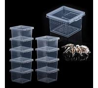 10 Pcs Insect Spider Terrariums Breeding Box Hatching Container Small Reptile Scorpion Centipede Acrylic Breeding Box (Small Size)