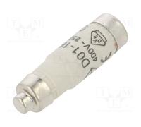 10 pcs : LE1416 - Fuse: fuse, gG,time-lag, 16A, 400VAC, D01