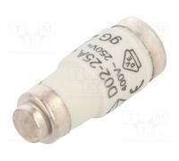 10 pcs : LE1825 - Fuse: fuse, gG,time-lag, 25A, 400VAC, 250VDC, D02