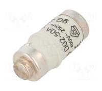 10 pcs : LE1850 - Fuse: fuse, gG,time-lag, 50A, 400VAC, 250VDC, D02