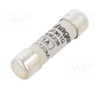 10 pcs : LF301G - Fuse: fuse, gG,time-lag, 1A, 500VAC, cylindrical,industrial