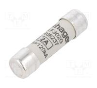 10 pcs : LF302G - Fuse: fuse, gG,time-lag, 2A, 500VAC, cylindrical,industrial