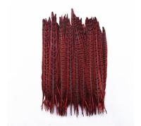 10 Pcs/Lot Female Pheasant Tail Feathers for Crafts Natural Pheasant Feathers Decoration Plumes Red