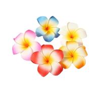 10 Pcs Multicolor Hawaii Plumeria Flower Clips Hawaiian Flower Hair Barrettes Beach Party Hair Clips Artificial Tropical Flower Hairpins for Beauty and Personal Care Wedding 7cm