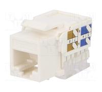 10 pcs : NK4006 - Socket, RJ45, PIN: 8, Cat: 5e, Keystone,unshielded, Layout: 8p