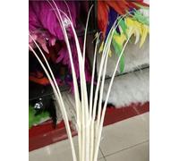 10 pcs Ostrich Feathers Spine 16-20inch/40-50cm Hats & Craft use-White