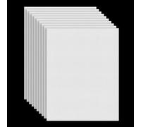 10 PCS Plastic Mesh Sheet, Plastic Mesh Canvas 20 x 30cm White Buckram Canvas Sheets for Bag Making DIY Embroidery Crafting Knit