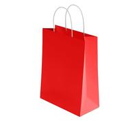 10 Pcs Small Red Paper Party Bags with Handles Colourful Paper Gift Bags for Kids Parties Weddings Birthdays Baby Showers Xmas and Sweets 18x22x8cm Kraft Bags