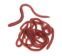 10 PCS Stretchy Earthworms Realistic Earthworms, Realistic Fake Worms Scary Props, Wiggly Worm Soft Stretchy Rubber Earthworms, Trick Toy for Prank April Fools Day Supplies Party Favor Gifts