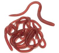10 PCS Stretchy Earthworms Realistic Earthworms, Realistic Fake Worms Scary Props, Wiggly Worm Soft Stretchy Rubber Earthworms, Trick Toy for Prank April Fools Day Supplies Party Favor Gifts