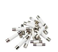 10 pieces/lot 5 * 20mm 6 * 30mm fast blow tube fuse mm 250V 0.5A 1A 2A 3A 4A 5A 6A 8A 10A 15A 20A 25A 30A AMP fuse ceramic fuse(5A,5X20mm)