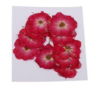 10 Pieces Natural Dried Pressed Rose Flowers DIY Handmade Crafting and Displaying,DIY Art Crafts Decoration