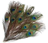 10 Pieces Natural Real Peacock Eye Feathers, Tail Feathers For Wedding, Party, Holiday And Home Decoration And Diy Crafts Convenient