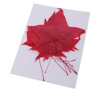 10 Pieces Pressed Flowers Real Flowers Dried Leaves Creative Natural Elements for Crafts Making Art Cards Gifts, Maple Leaf, as described