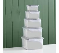 10 Pieces Storage Box Fridge Boxes, Drain Berry Containers, Organiser Fridge Boxes, Fruit Storage Fridge Organiser with Lid, Storage Fridge Organiser Set (L)