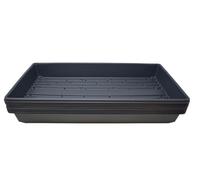 10 Plant Growing Trays (WITH Drain Holes) - 20" x 10" - Perfect Garden Seed Starter Grow Trays: for Seedlings, Indoor Gardening, Growing Microgreens, Wheatgrass & More - Soil or Hydroponic