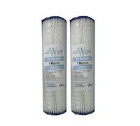 10" Pleated Washable Reusable Sediment Water Filter Cartridge 1 Micron Fits All 10" Water Filter Housings (2 Pack)
