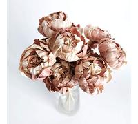 10 Rare Wood Color Peony 2" Sola Flower Reed Diffuser Replacement for Home Fragrance Oil by Plawanature.
