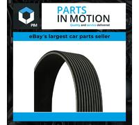 CONTITECH 10PK1688 Serpentine belt