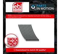 10 Rib Multi V Drive Belt 29109 Febi 51968200325 51968200330 88968200005 Quality