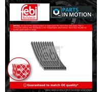 10 Rib Multi V Drive Belt 45709 Febi A4709930296 A4719934796 A4729930796 Quality