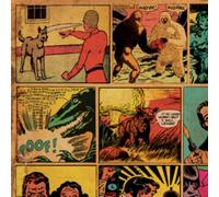 Tim Rutili & Craig Ross - 10 Seconds To Collapse [VINYL]