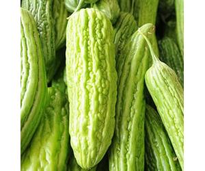 10 Seeds of Vegetable Bitter Melon Mix Oriental