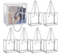 10 Sets Transparent Favor Boxes Treat Boxes With Silver Border | 2.9x5.5x5.5 Inch Lace And Handle For Party Favors