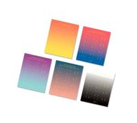 10 Sheets Monthly Tabs Planner Stickers Month Adhesive Tabs Decorative Monthly Indexed Colorful Indexed Sticker
