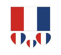 10 Sheets World Country Flag Temporary Tattoos for World Cup, Waterproof Sweat National Flag Removable Fake Tattoos for Sports Events Celebration Party (France)