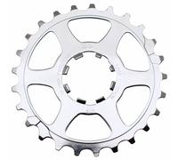 10-speed cassette sprocket for Campagnolo with 25 teeth. Last position.