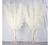 10 Stems 40-inch White Pampas Grass Decor Tall, Large Pampas Grass, Boho Neutral Home Decor Bouquet. Fluffy Pampas Grass for Floor Vases, Wedding Floral Arrangements, Wall Decor, Farmhouse Table Decor