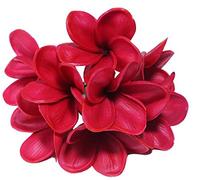 10 Stems Real Touch Artificial Hawaiian Lei Faux Ivory Plumeria Latex Flower Bouquet for Bride Wedding Party Festival Decoration Bouquet (Wine Red)