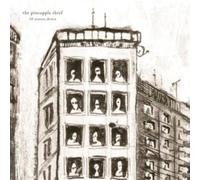 The Pineapple Thief - 10 Stories Down ( 20th Anniversary Marble LP ) [VINYL]