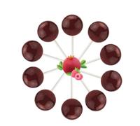 10 UNITS OF POMEGRANATE & RASPBERRY LOLLIPOPS (INDIVIDUALLY WRAPPED) FROM ORIGINAL GOURMET